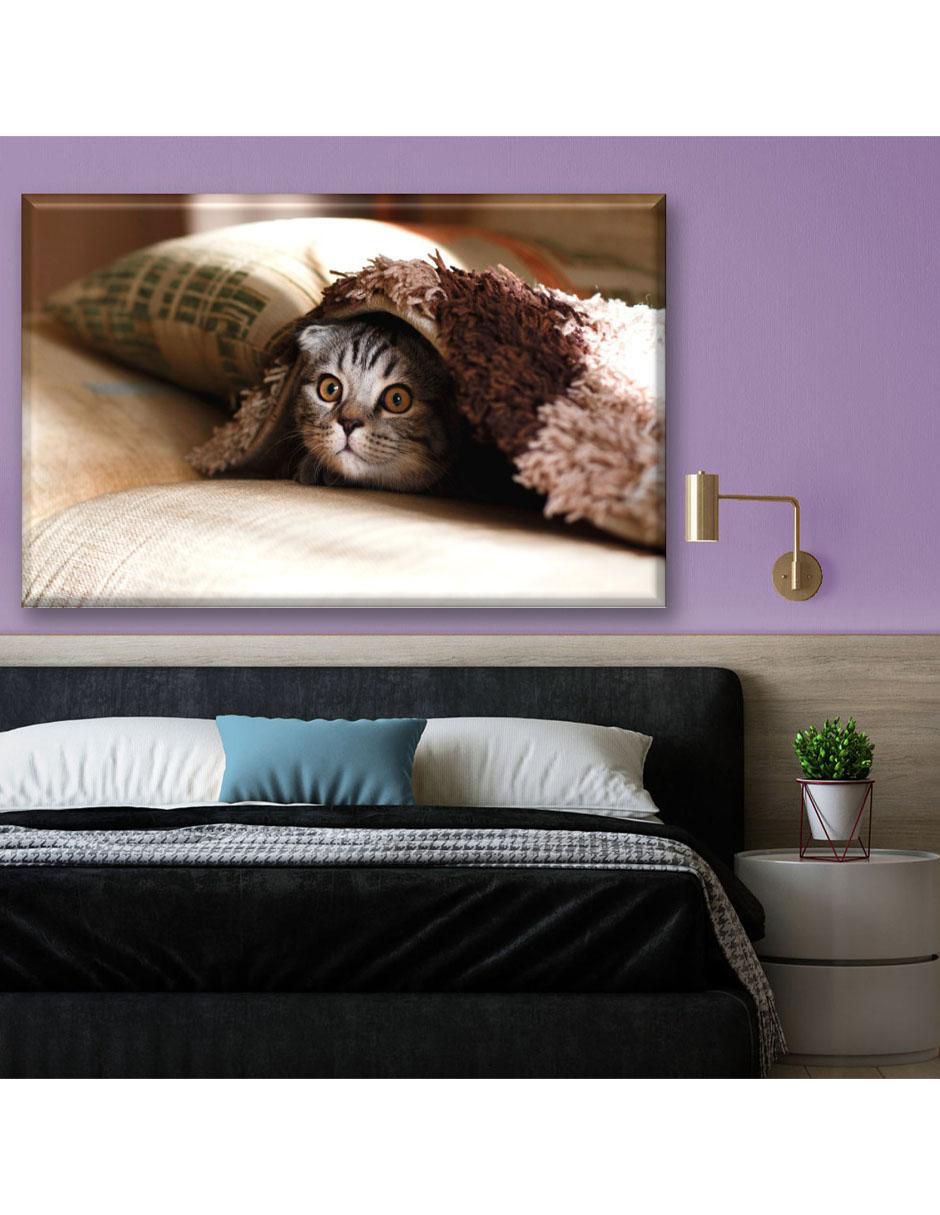 Cuadro decorativo Gatito con frío 3