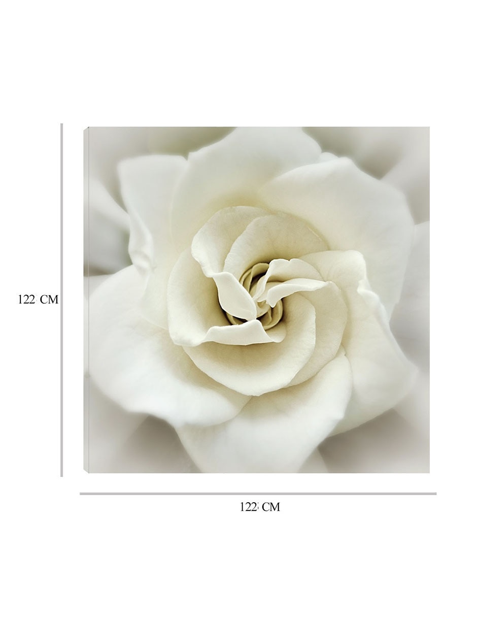 Cuadro decorativo Gardenia desteñida técnica mixta Floración 8