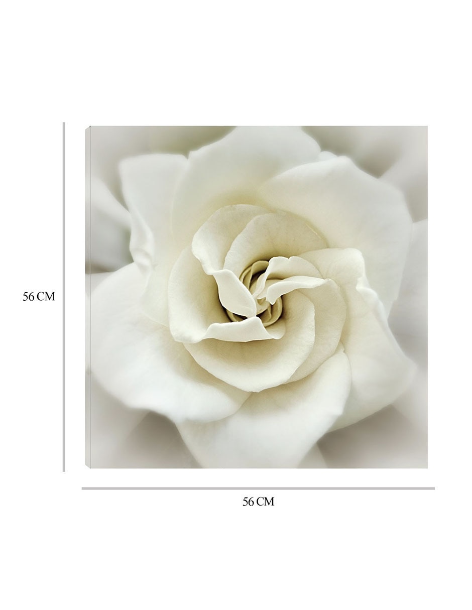 Cuadro decorativo Gardenia desteñida técnica mixta Floración 3