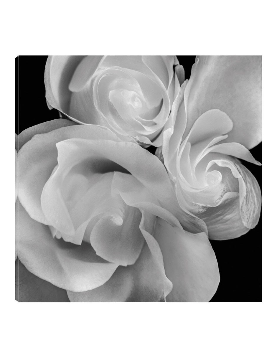 Cuadro decorativo Floral 19 técnica mixta Floración Cuadro decorativo Floral 19 técnica mixta Floración