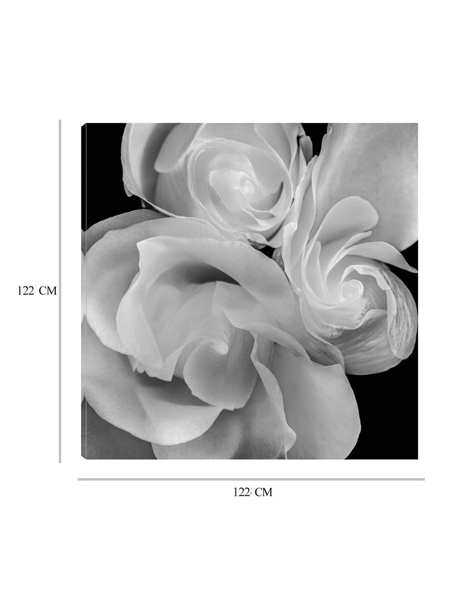 Cuadro decorativo Floral 19 técnica mixta Floración 3