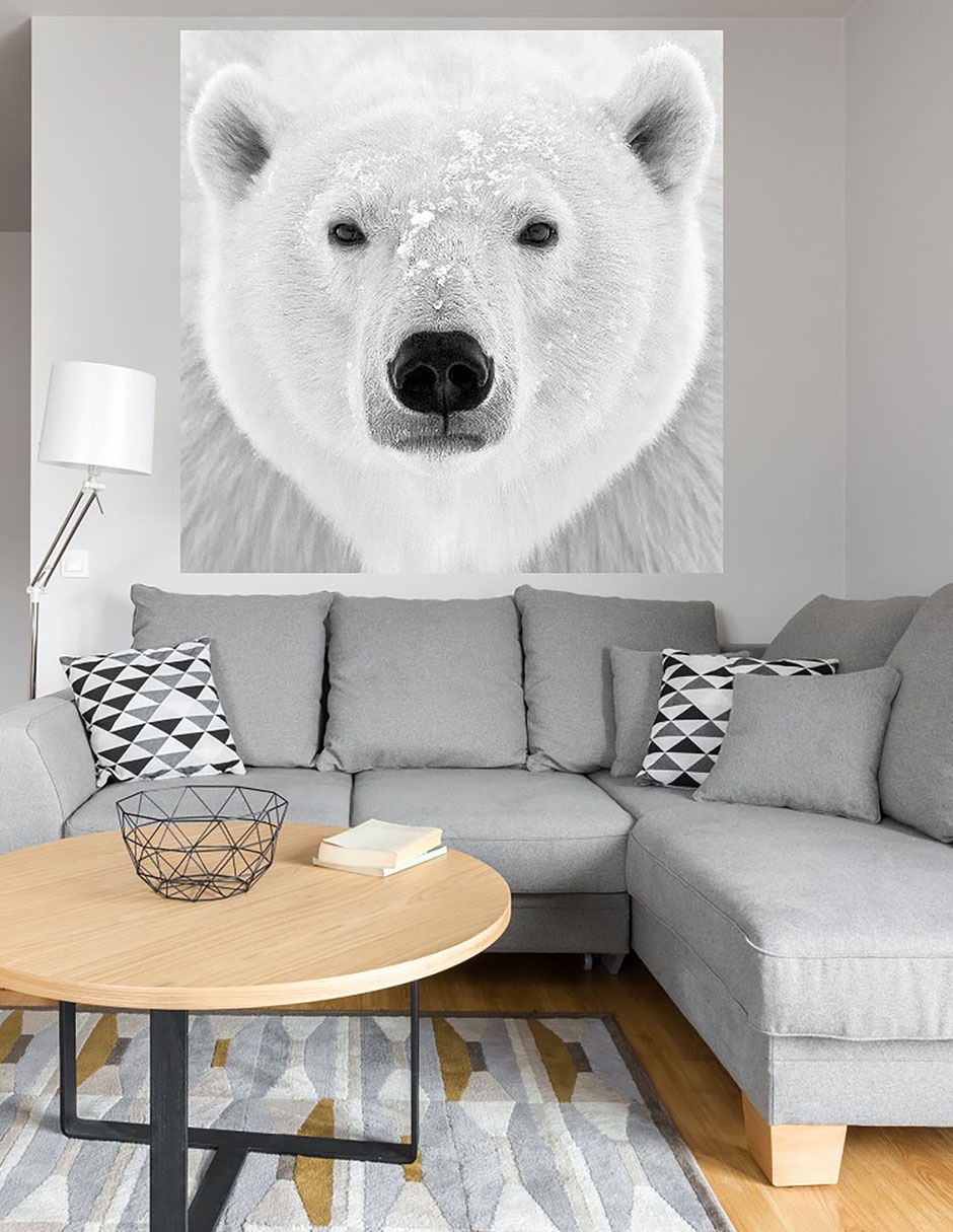 Cuadro decorativo Oso polar técnica mixta Vida Silvestre 6
