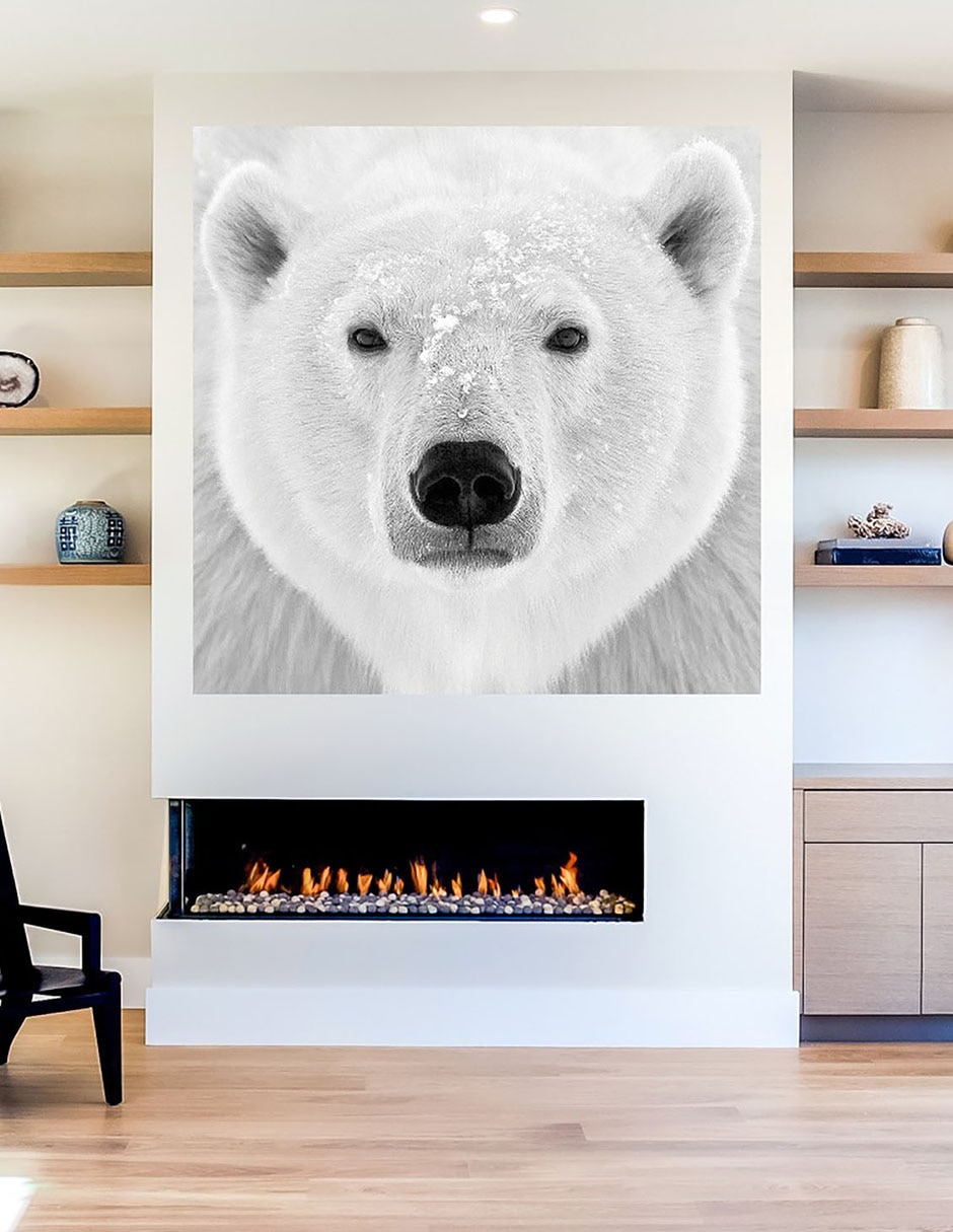 Cuadro decorativo Oso polar técnica mixta Vida Silvestre 7