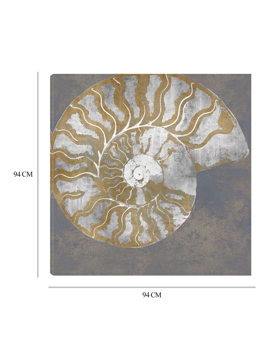 Cuadro decorativo Nautilo I técnica mixta Animales Marinos 8