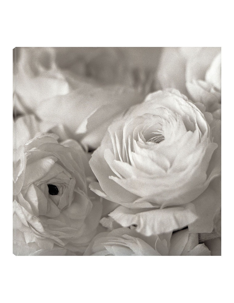 Cuadro decorativo Florison #47 técnica mixta Floración Cuadro decorativo Florison #47 técnica mixta Floración