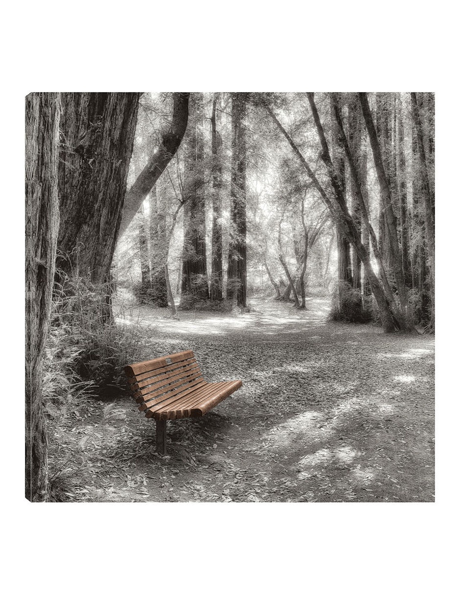 Cuadro decorativo Old Mill Park técnica mixta Bosques