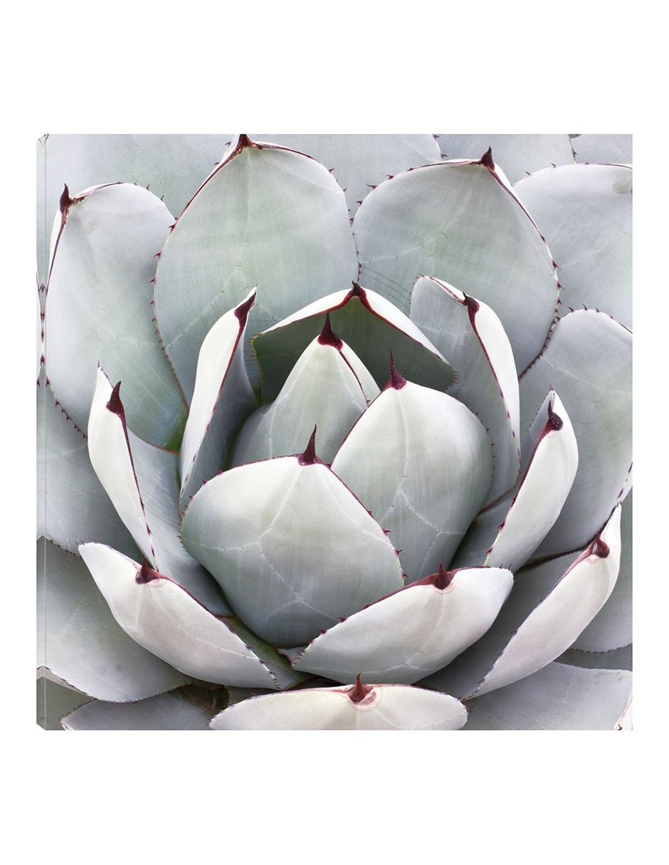 Cuadro decorativo Gris desértico técnica mixta Floración