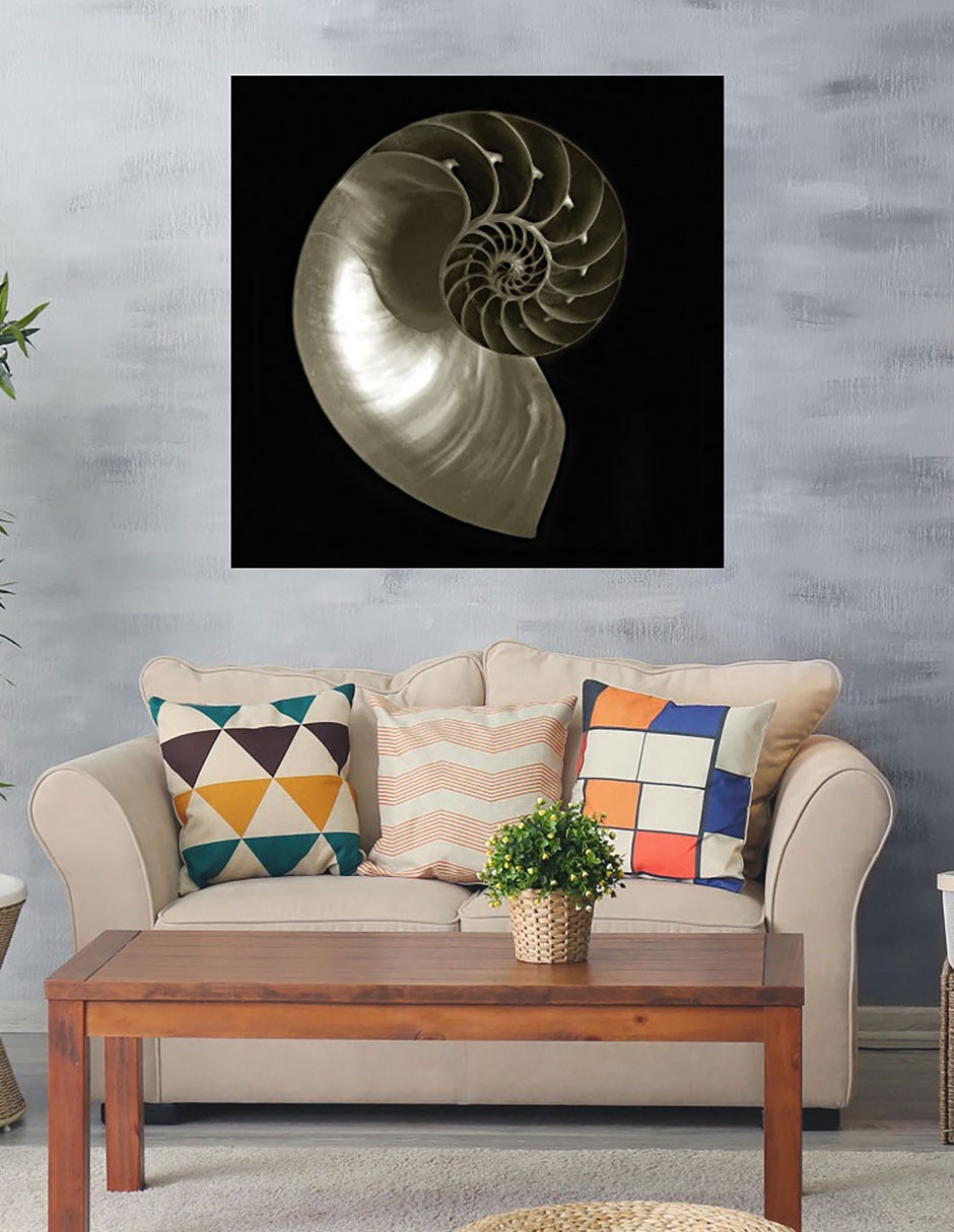Cuadro decorativo Nautilo sobre negro técnica mixta Animales Marinos 5