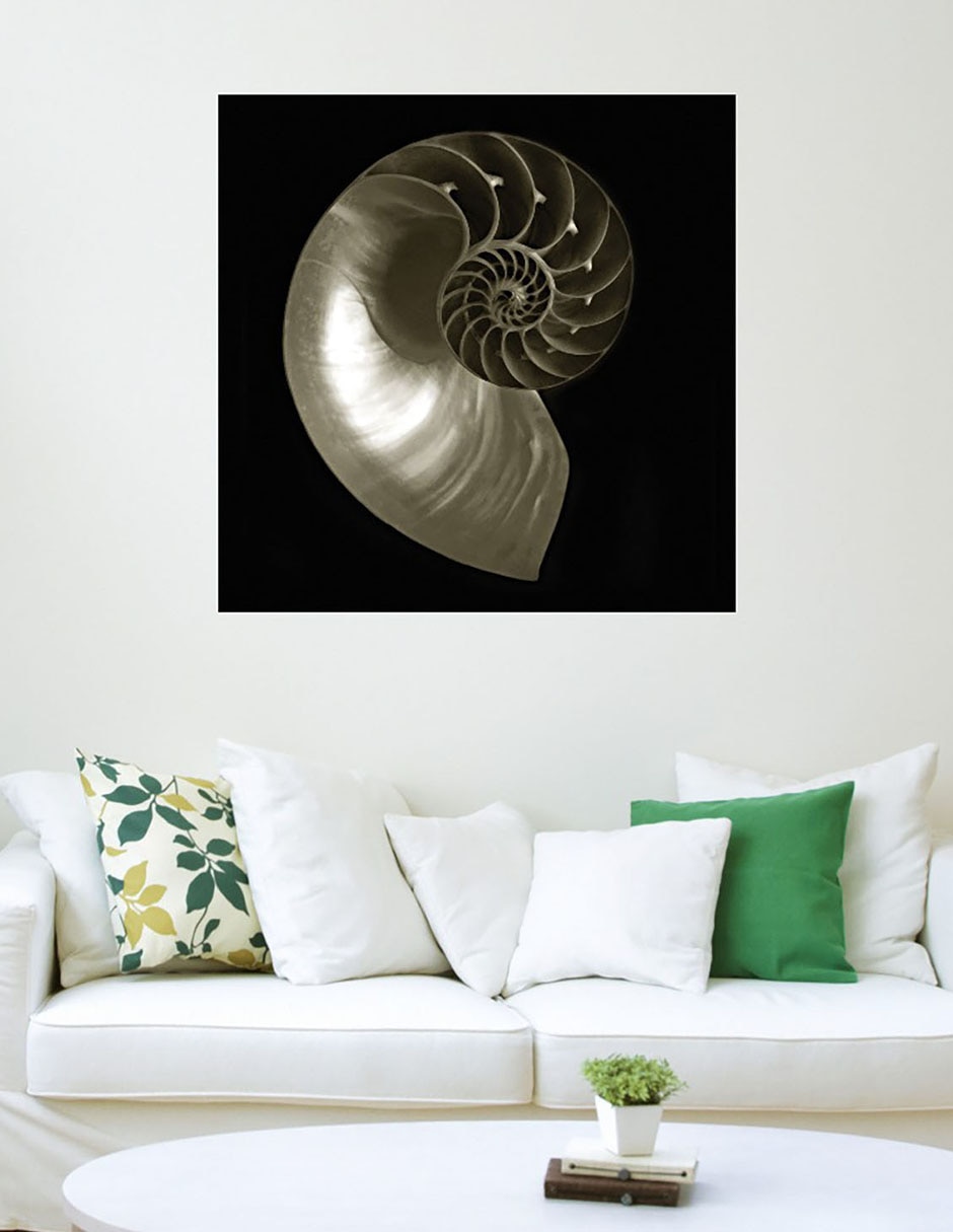 Cuadro decorativo Nautilo sobre negro técnica mixta Animales Marinos 6