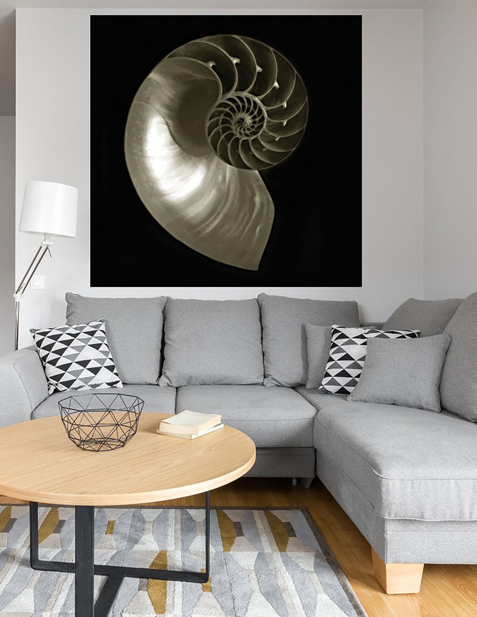 Cuadro decorativo Nautilo sobre negro técnica mixta Animales Marinos 7