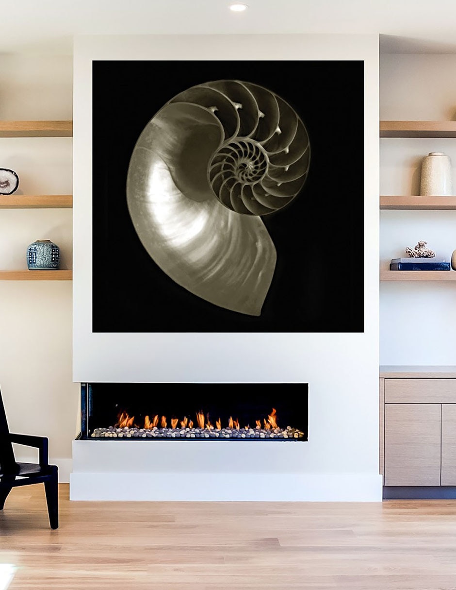 Cuadro decorativo Nautilo sobre negro técnica mixta Animales Marinos 8