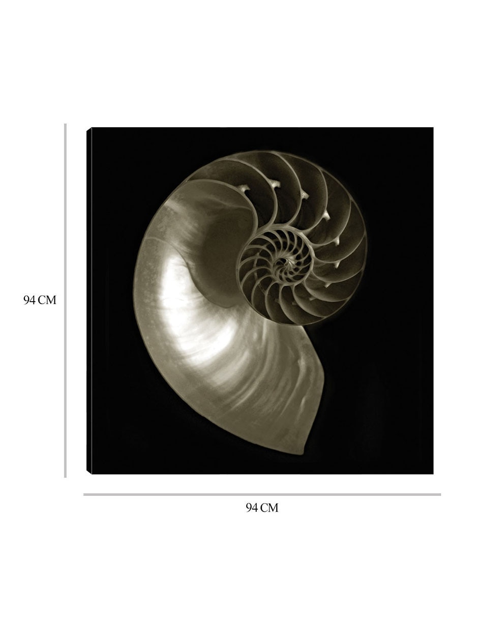 Cuadro decorativo Nautilo sobre negro técnica mixta Animales Marinos 2