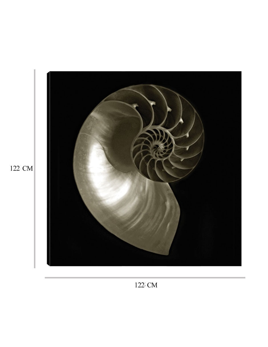 Cuadro decorativo Nautilo sobre negro técnica mixta Animales Marinos 2
