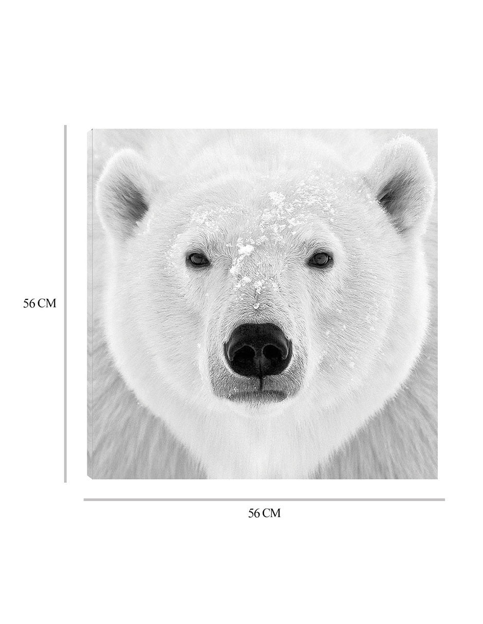 Cuadro decorativo Oso polar técnica mixta Vida Silvestre 2