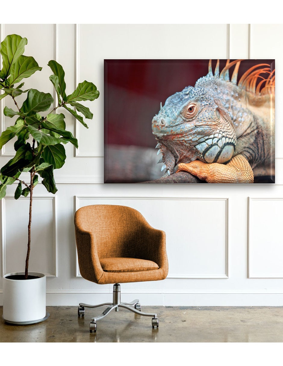 Cuadro decorativo Iguana de perfil 2