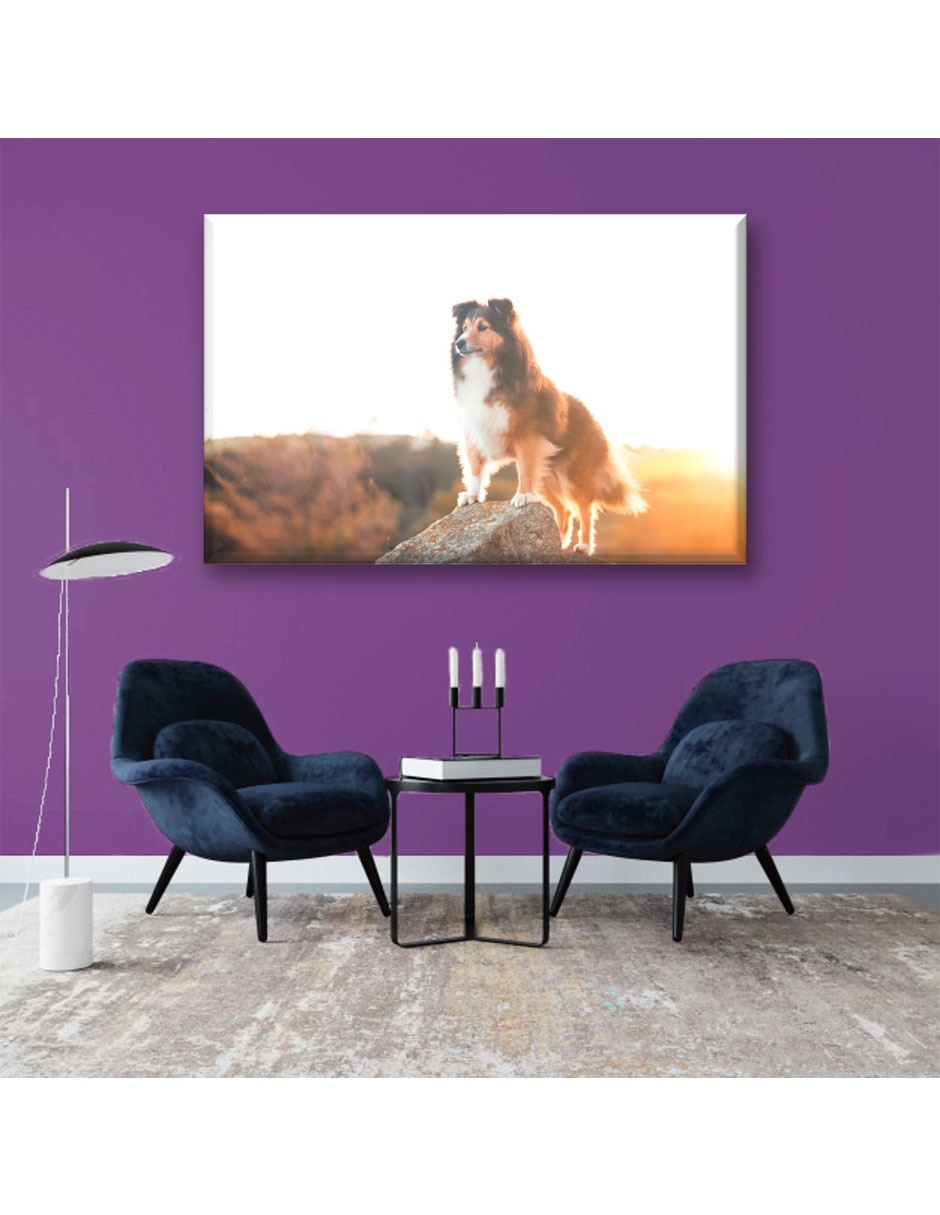 Cuadro decorativo Perro en acantilado 2