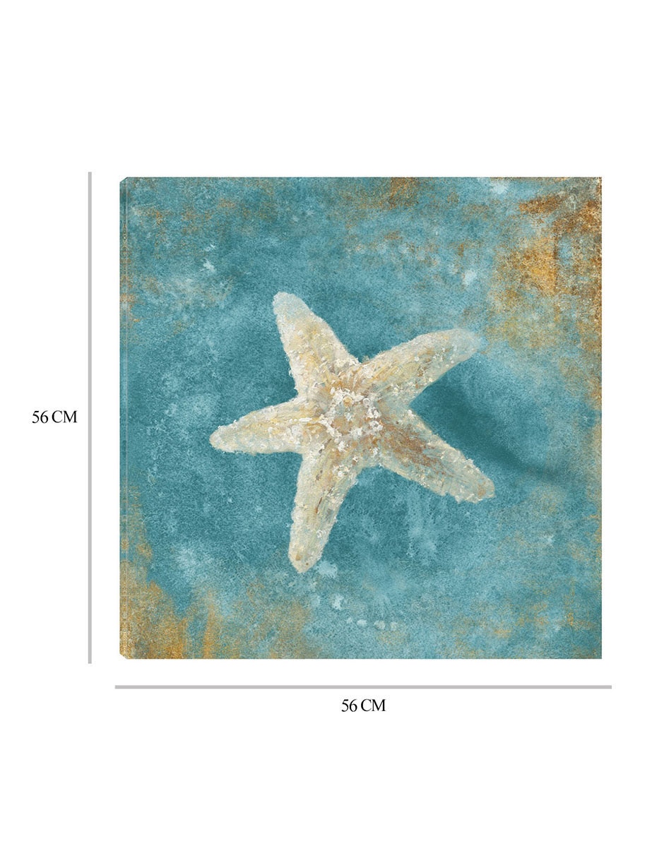 Cuadro decorativo Tesoros del Mar IV técnica mixta Animales Marinos 8