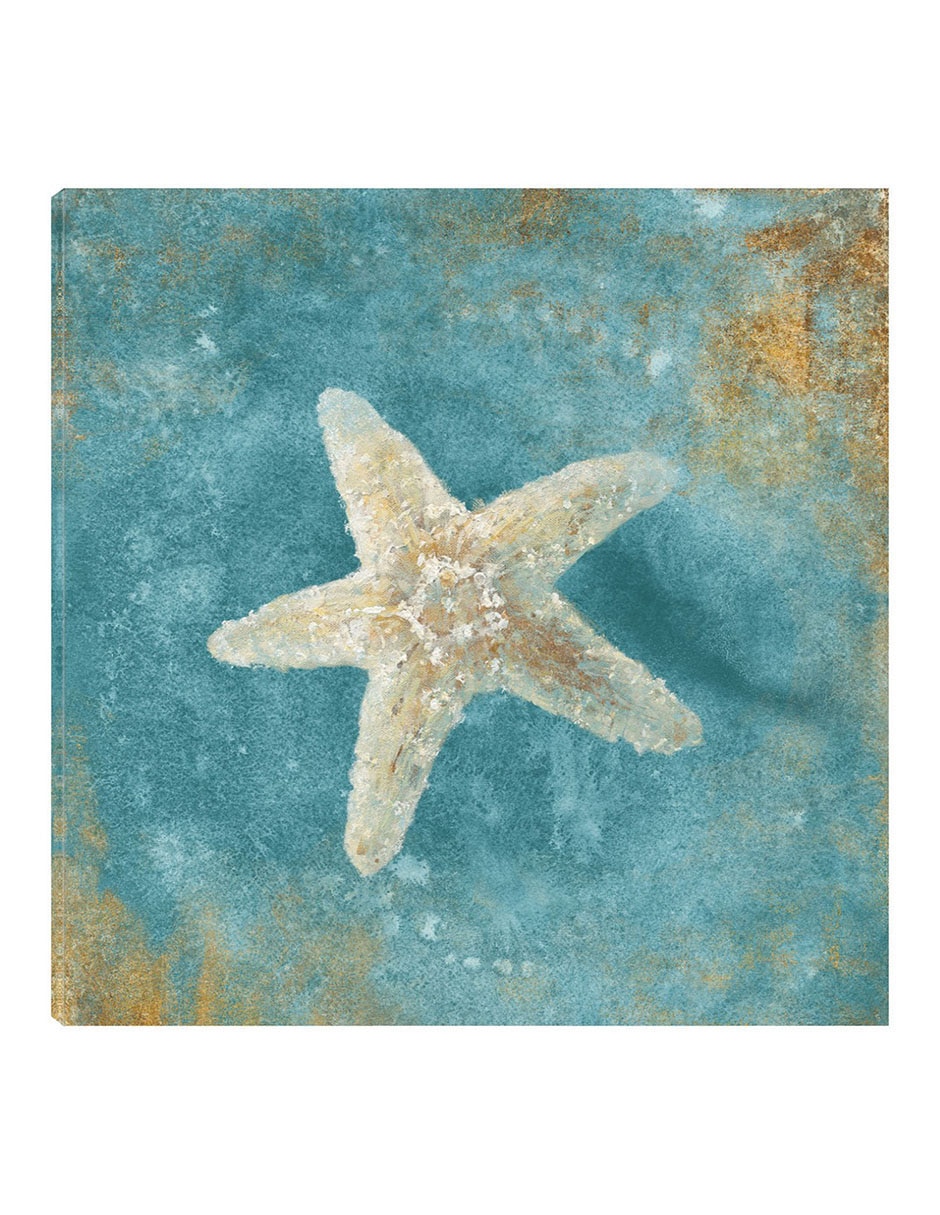Cuadro decorativo Tesoros del Mar IV técnica mixta Animales Marinos