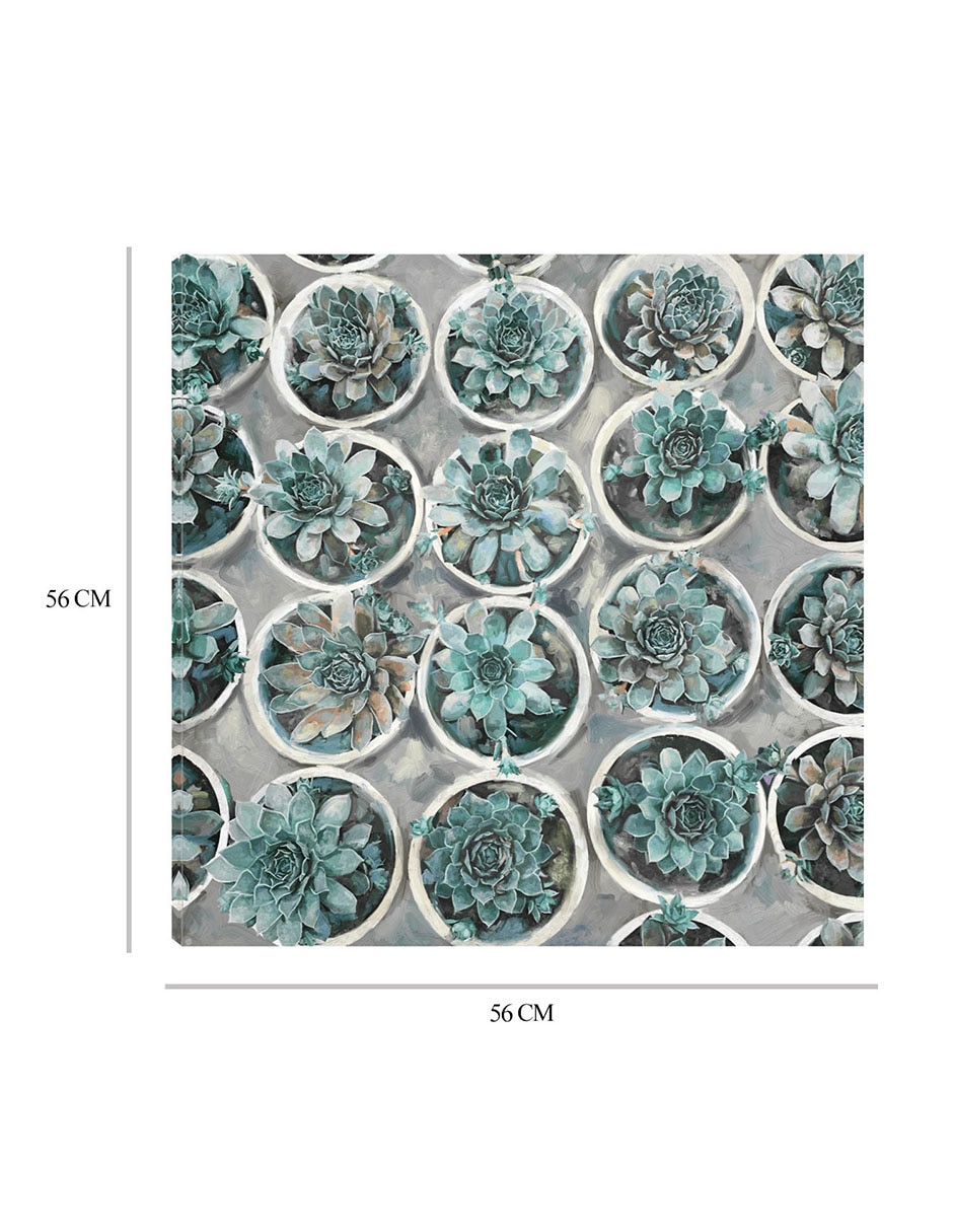 Cuadro decorativo Selecciones de suculentas técnica mixta Floración 8