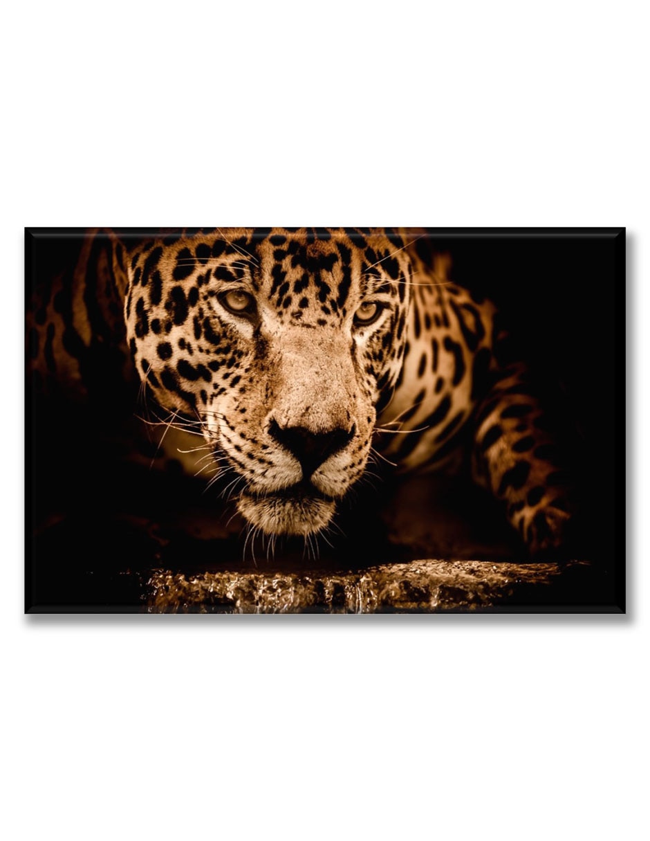 Cuadro decorativo Reflejo de jaguar Cuadro decorativo Reflejo de jaguar