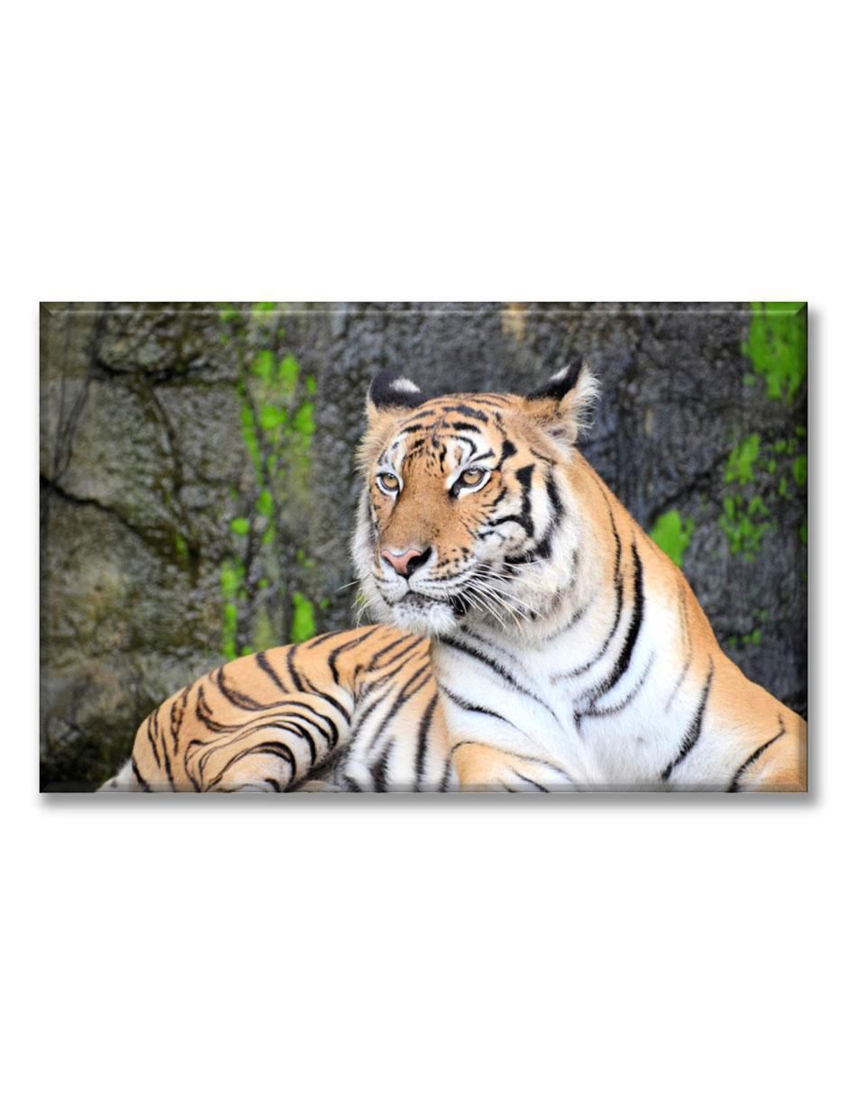 Cuadro decorativo Tigre