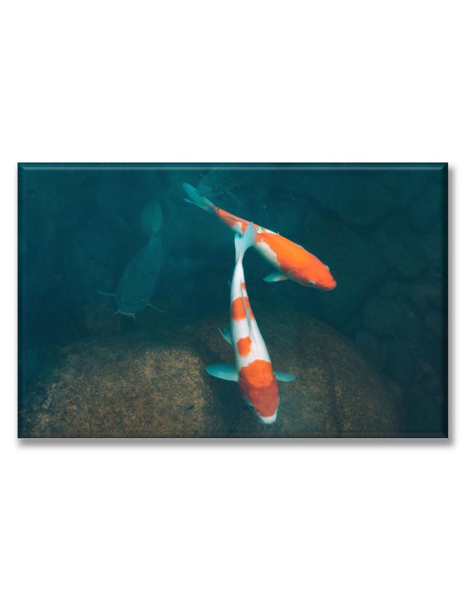Cuadro decorativo Pareja de peces koi