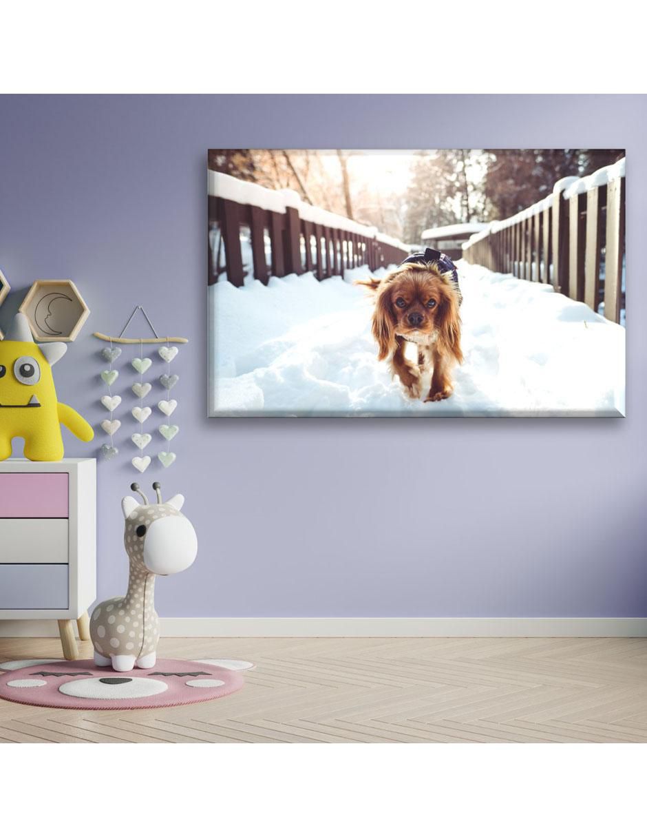 Cuadro decorativo Cachorro en la nieve 3