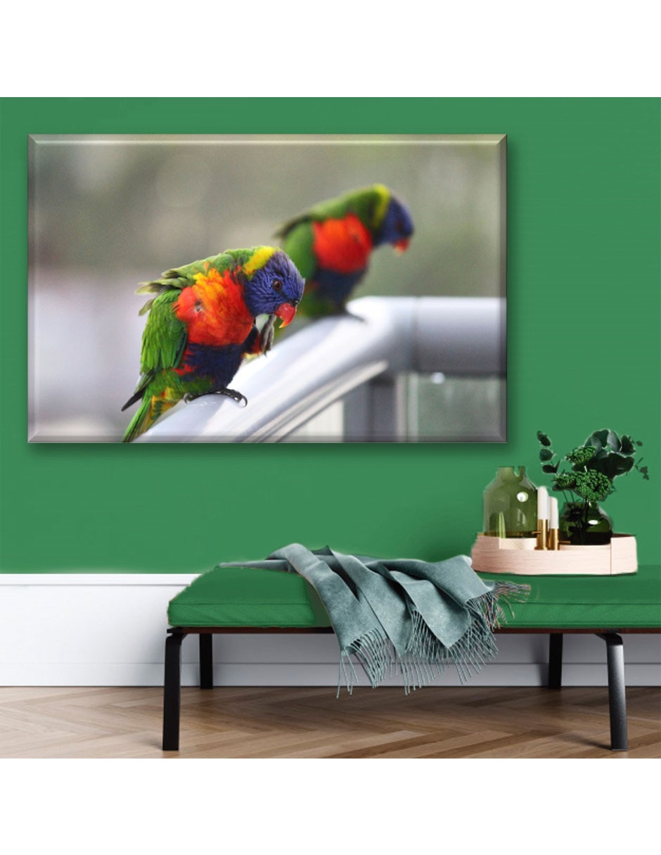 Cuadro decorativo Loros cuellirojo 2