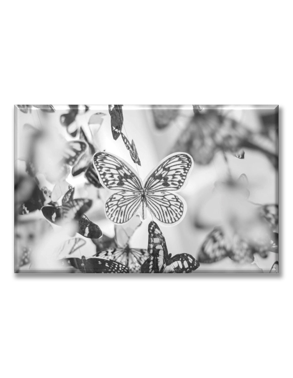 Cuadro decorativo Mariposas blanco y negro