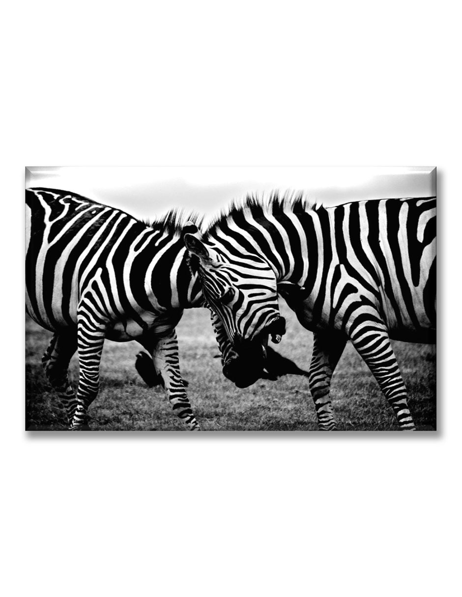 Cuadro decorativo Zebras