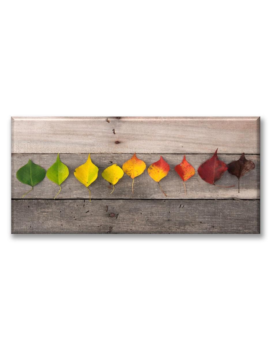 Cuadro decorativo Hojas de árboles