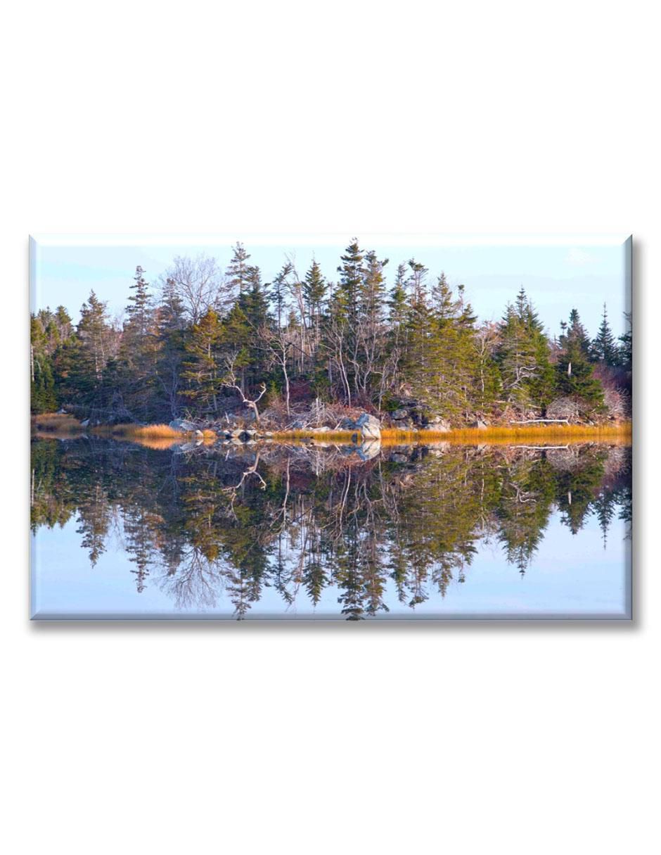 Cuadro decorativo Reflejos de árboles Cuadro decorativo Reflejos de árboles
