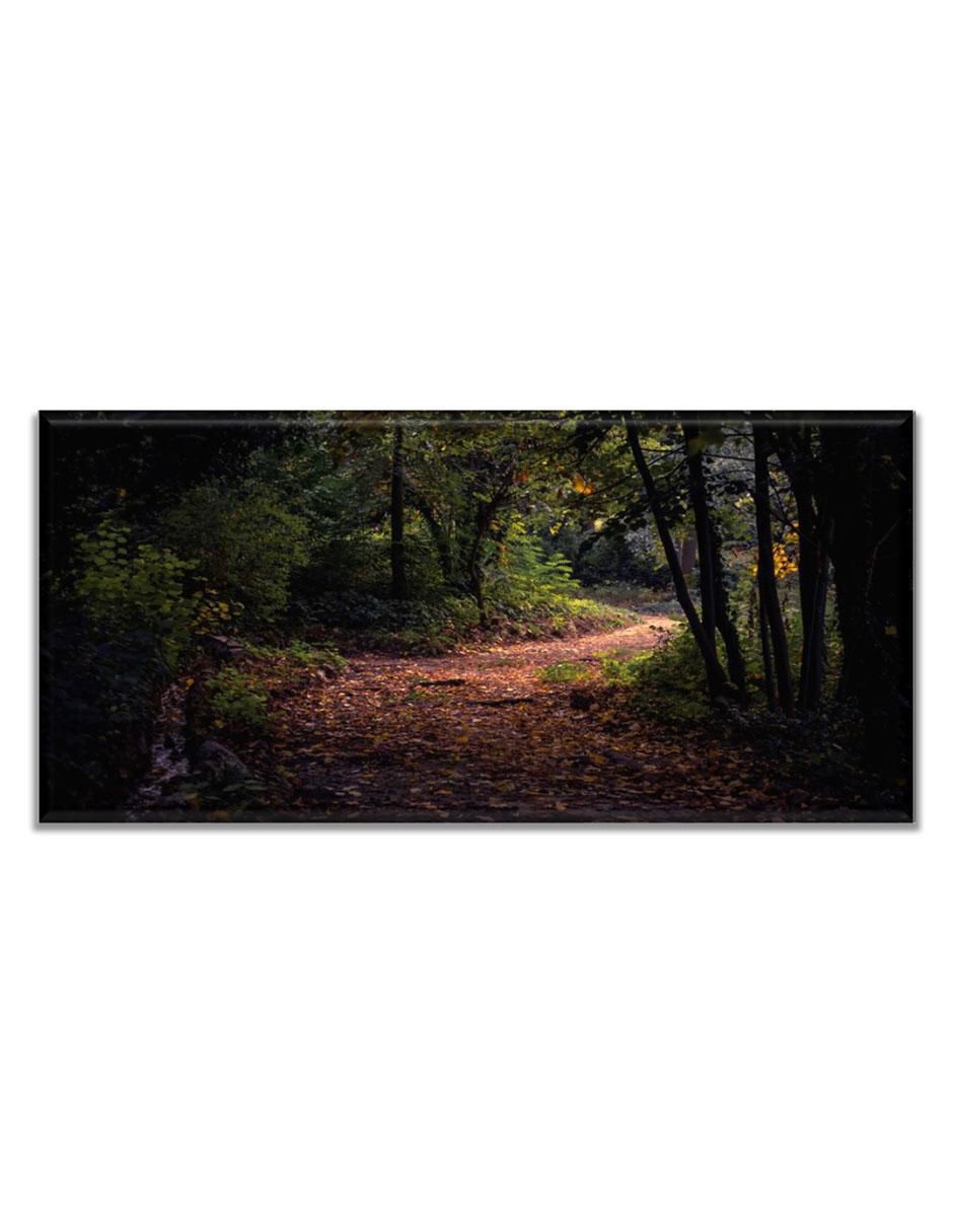 Cuadro decorativo Camino en el bosque