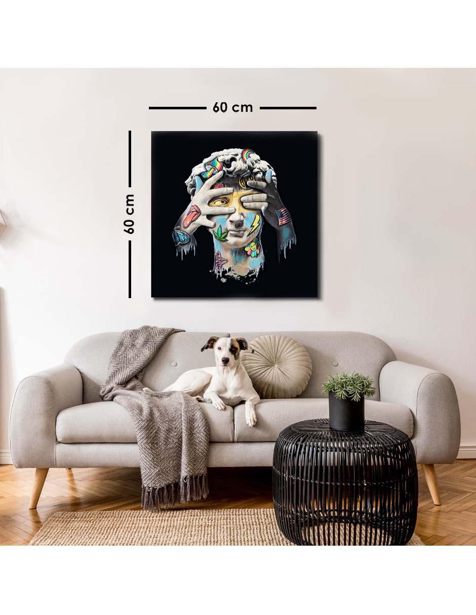 Cuadro decorativo canvas art david pop art con barniz a registro