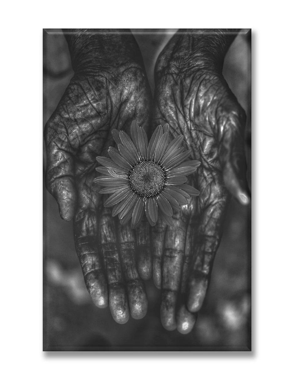 Cuadro decorativo Manos con flor Cuadro decorativo Manos con flor