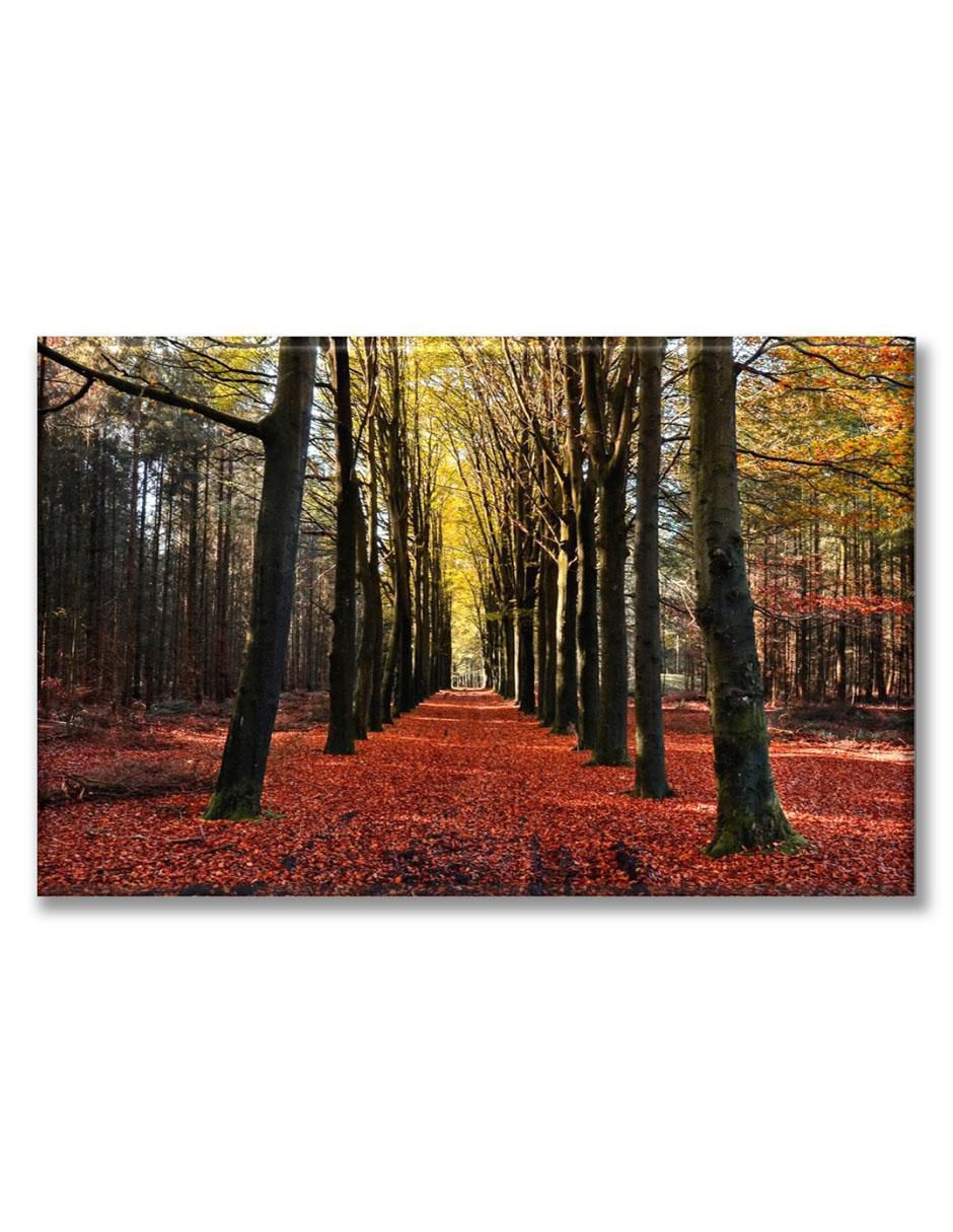 Cuadro decorativo Camino otoñal