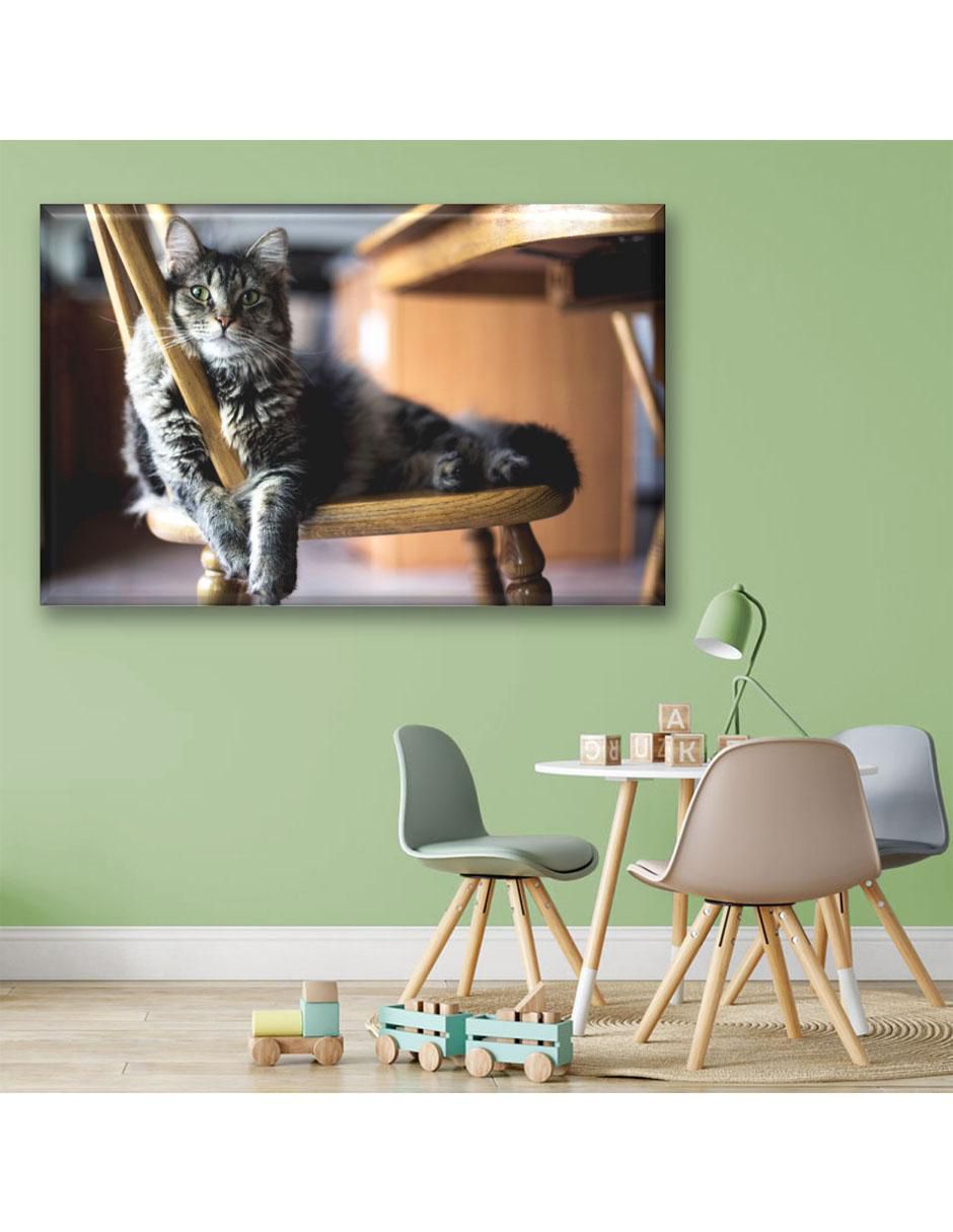 Cuadro decorativo Gato descansando 3
