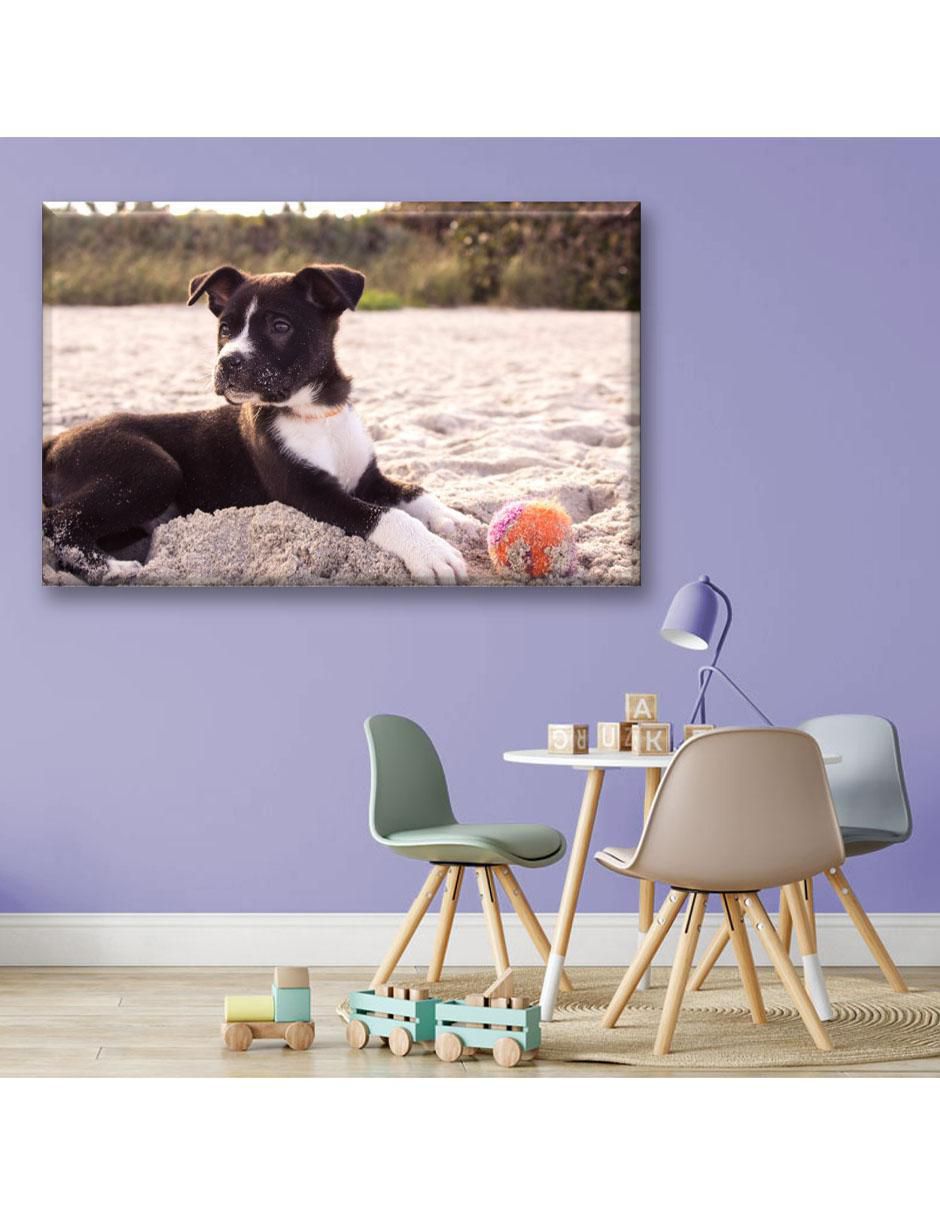 Cuadro decorativo Cachorro en la playa 3