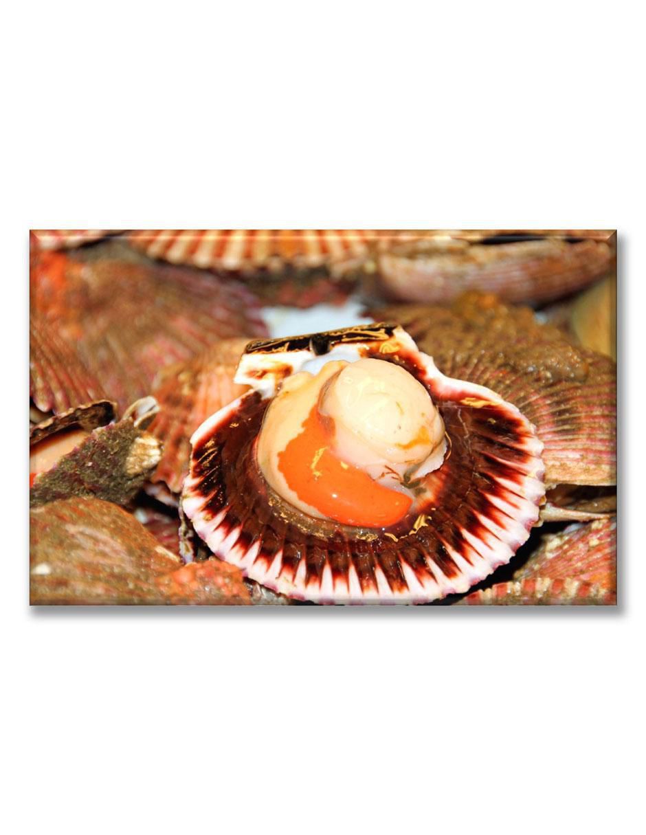 Cuadro decorativo Mariscos Cuadro decorativo Mariscos