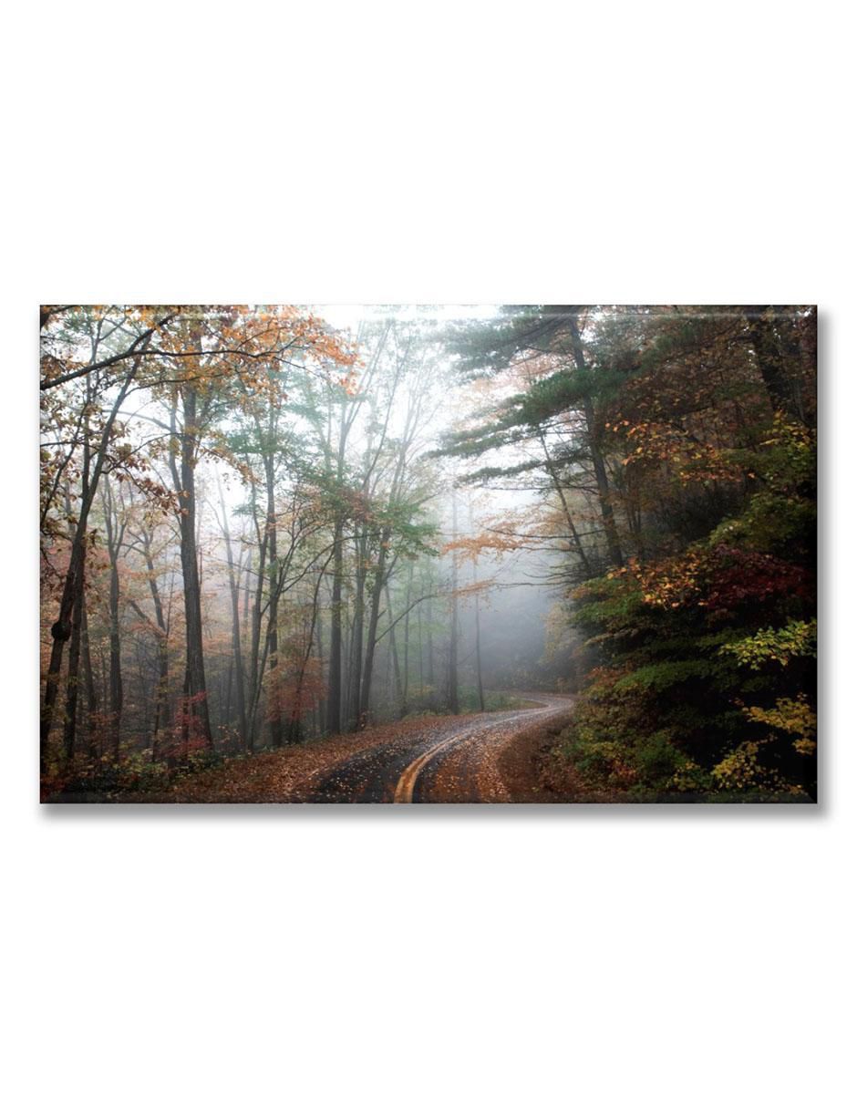 Cuadro decorativo Camino en la neblina