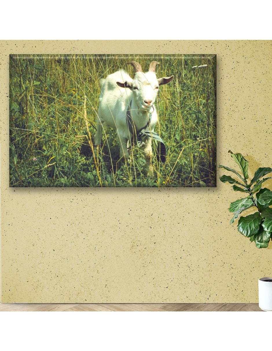Cuadro decorativo Cabra pastando 3