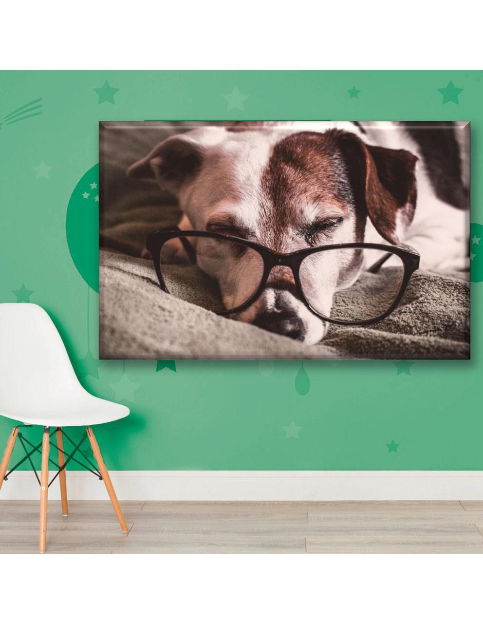 Cuadro decorativo Perrito estudioso 3