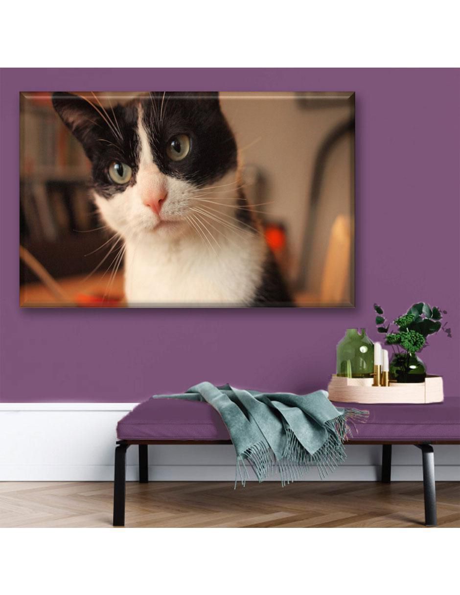 Cuadro decorativo Gato manchas de vaca 3
