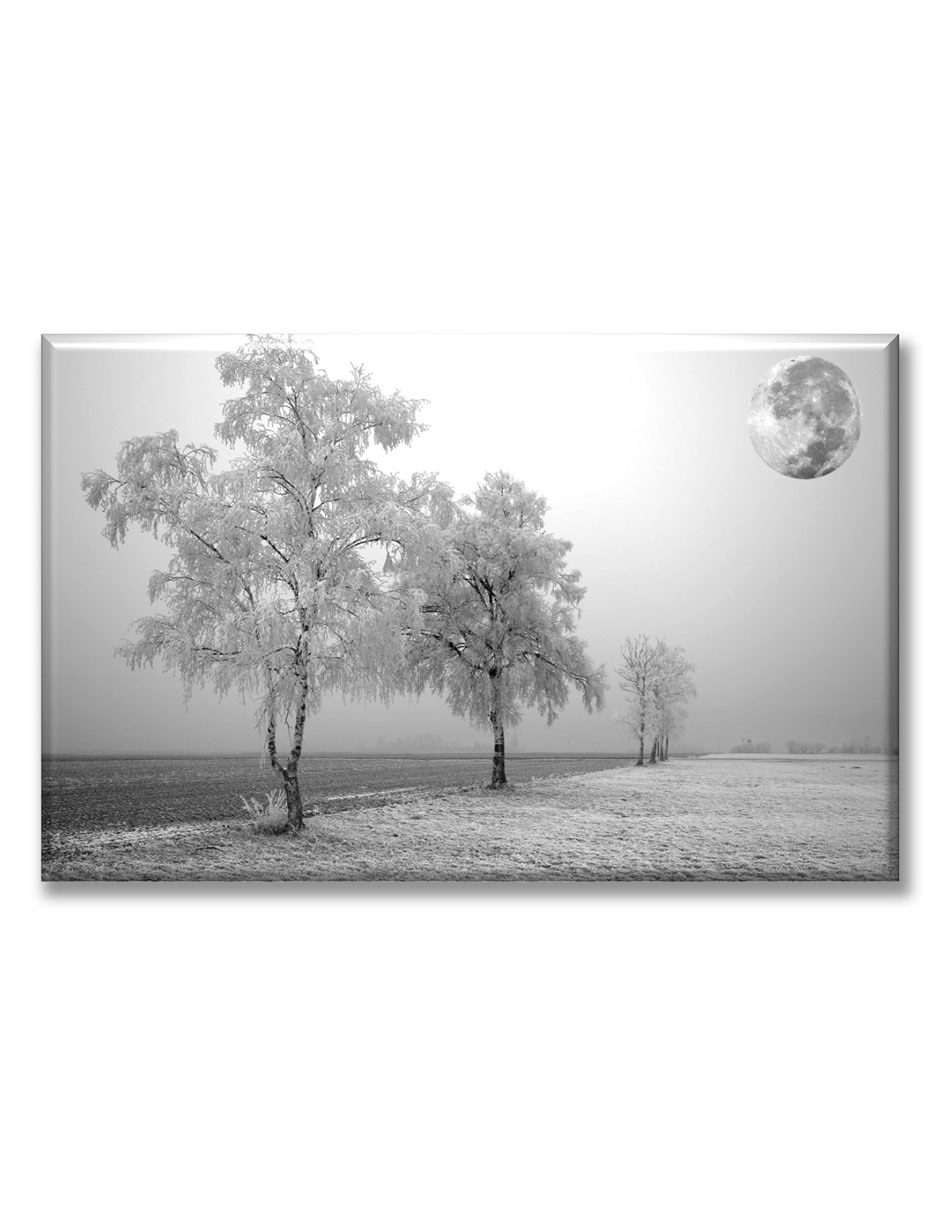 Cuadro decorativo Paisaje nevado
