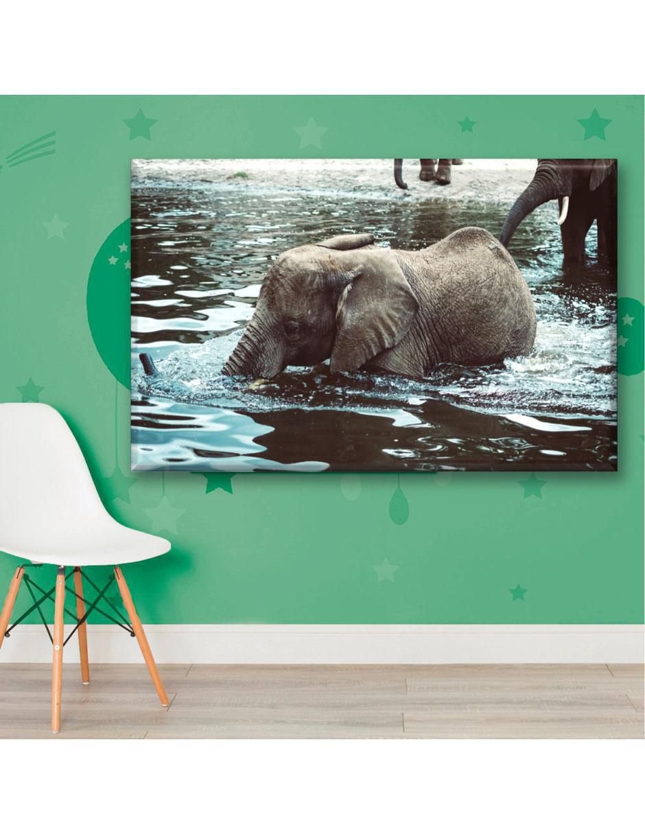 Cuadro decorativo Elefante nadando 3