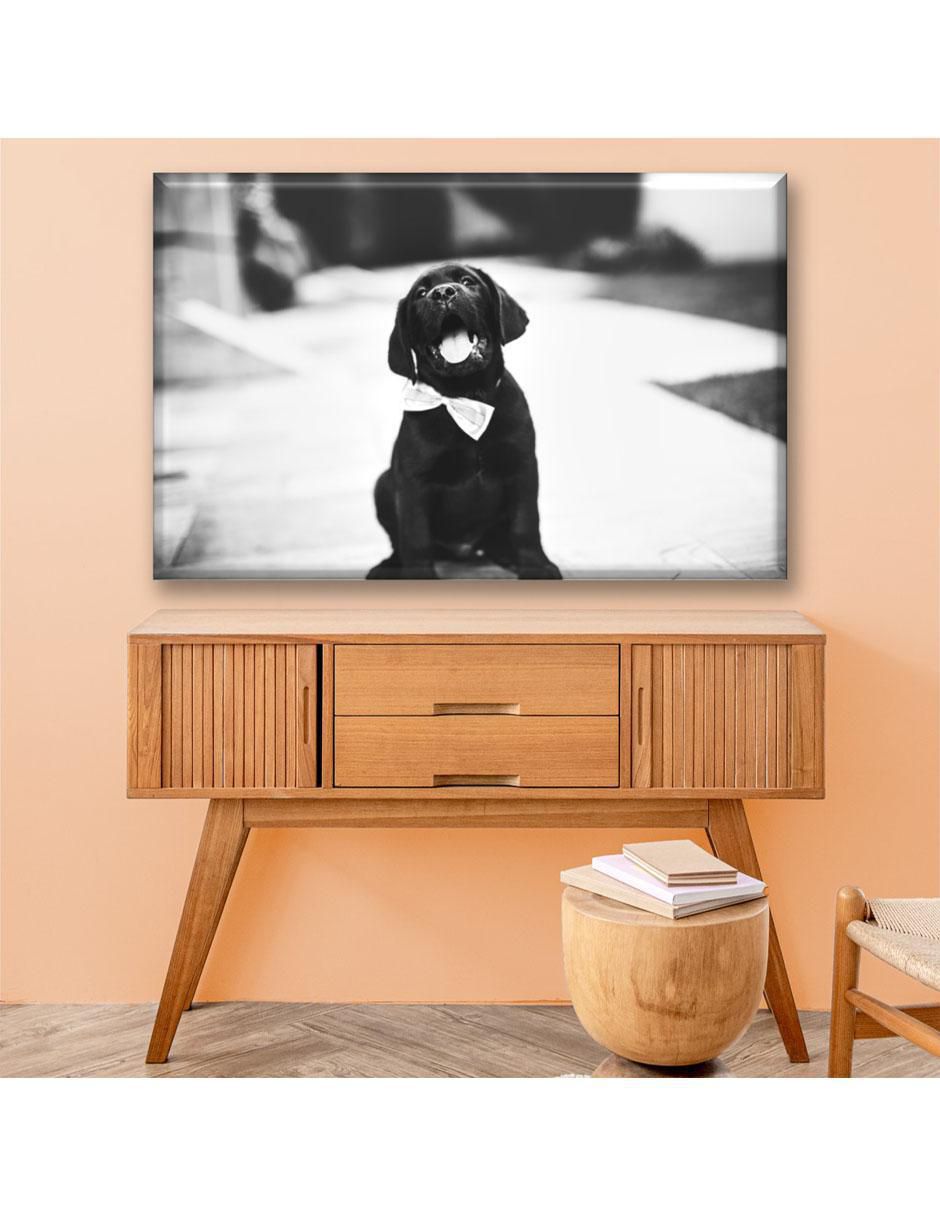 Cuadro decorativo Cachorro con moño 3