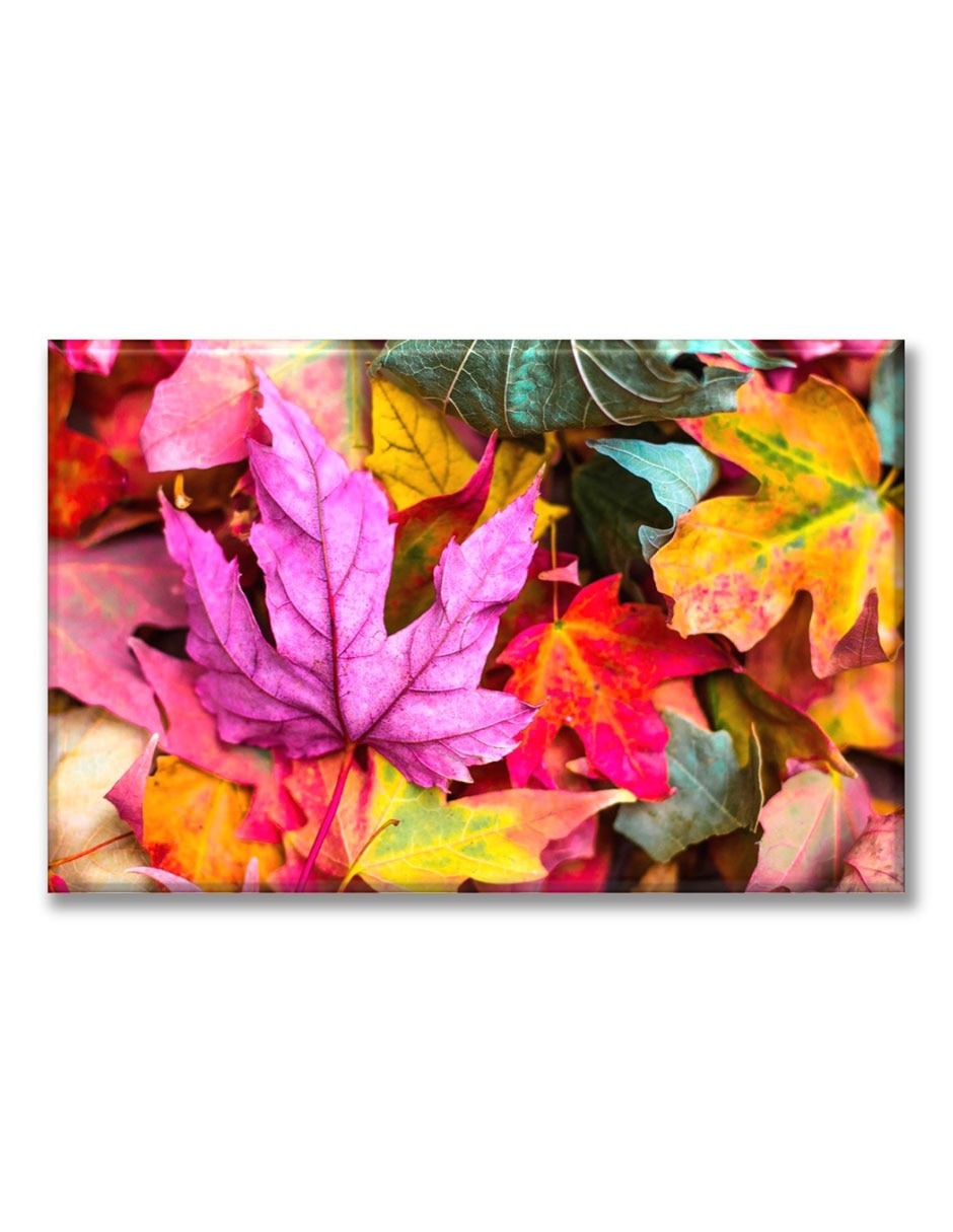 Cuadro decorativo Hojas de color pastel