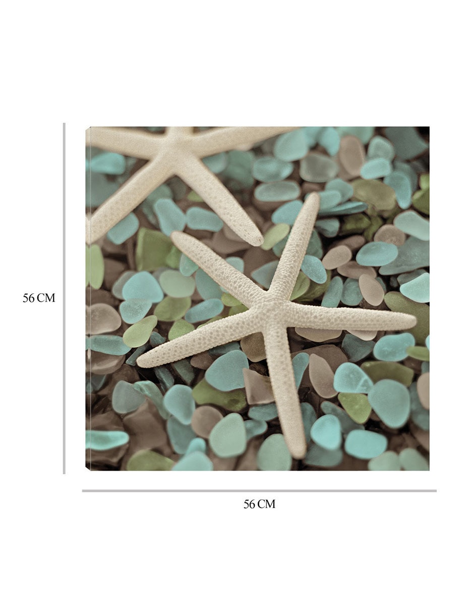 Cuadro decorativo Acuático 1 técnica mixta Criaturas Marinas 8