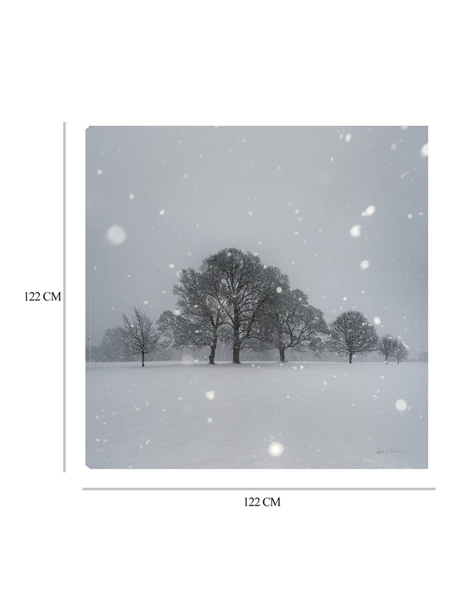 Cuadro decorativo Árboles en la nieve técnica mixta Naturaleza 8