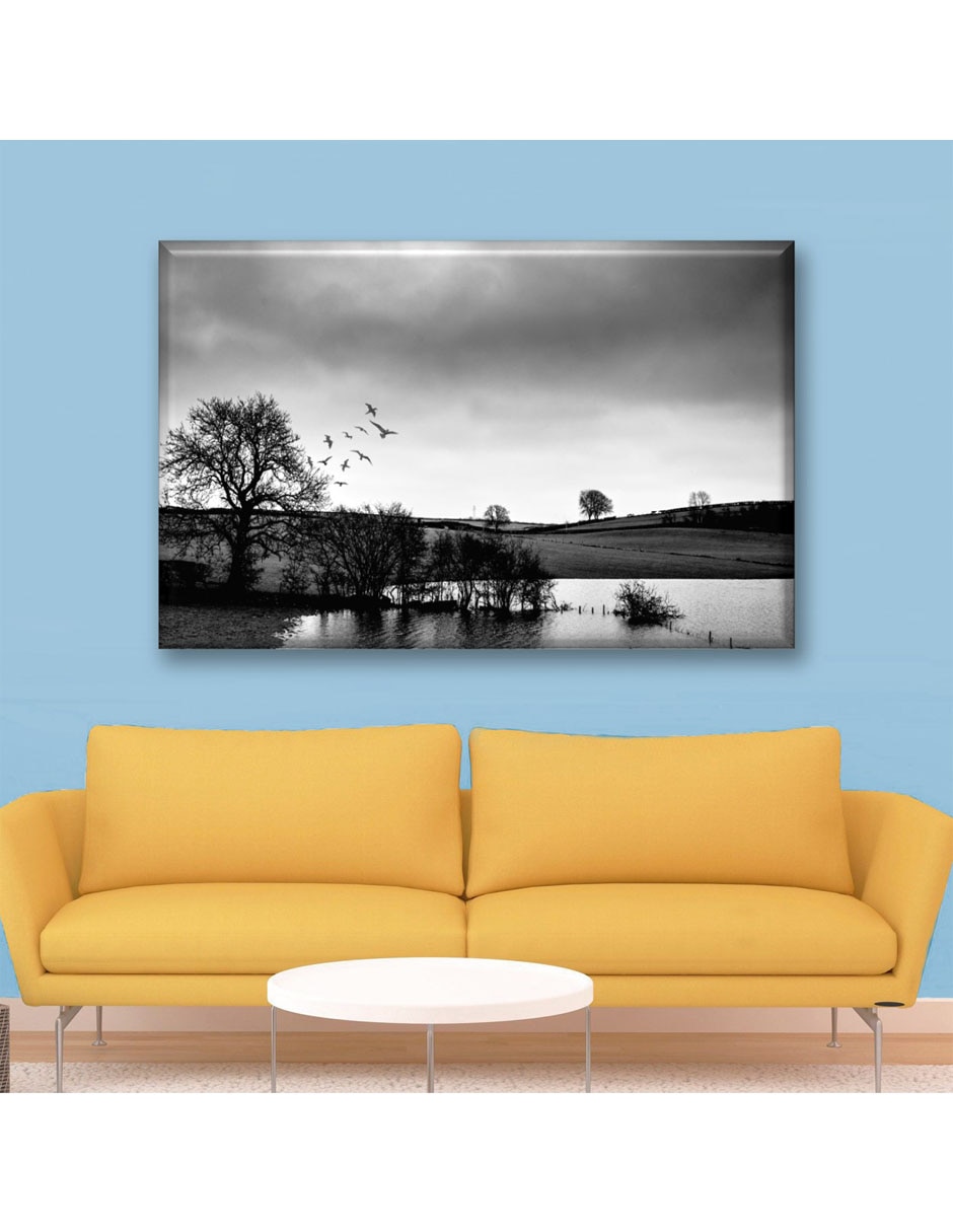 Cuadro decorativo Bosque blanco y negro 2
